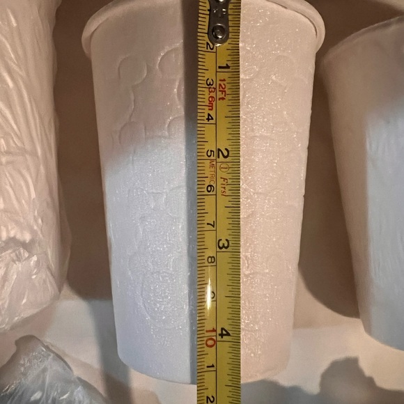 DISNEY STYROFOAM CUPS- 5 CUPS AND 6 LIDS- NEW 2023 DISNEY WORLD… - Picture 5 of 9